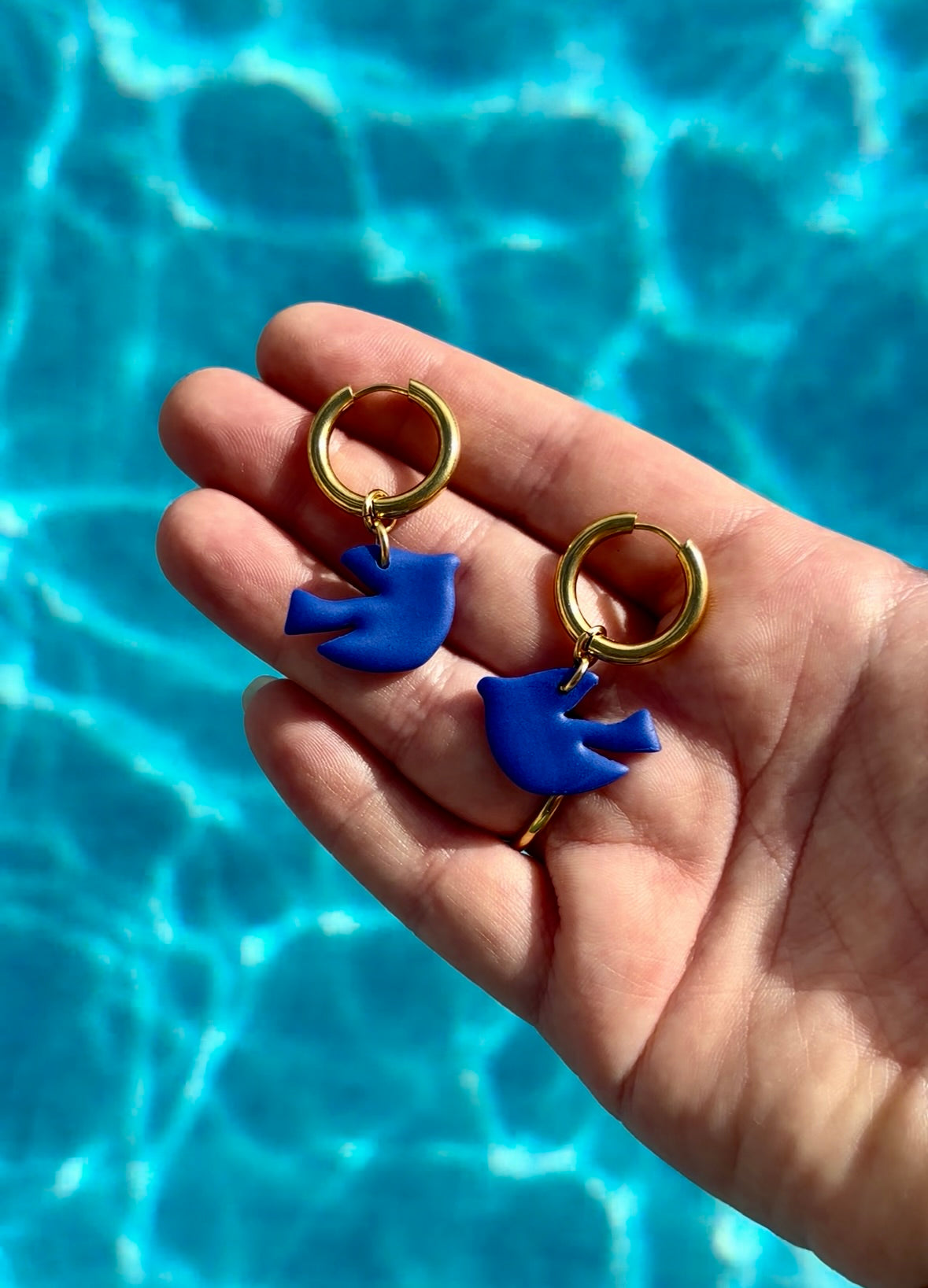 86d95de142faca94f197f53bbc8a70f9 Birds in the Sky